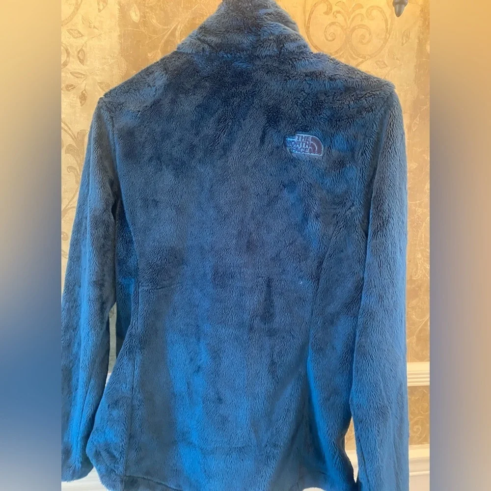 The North Face Men's Deep Blue Performance Jacket